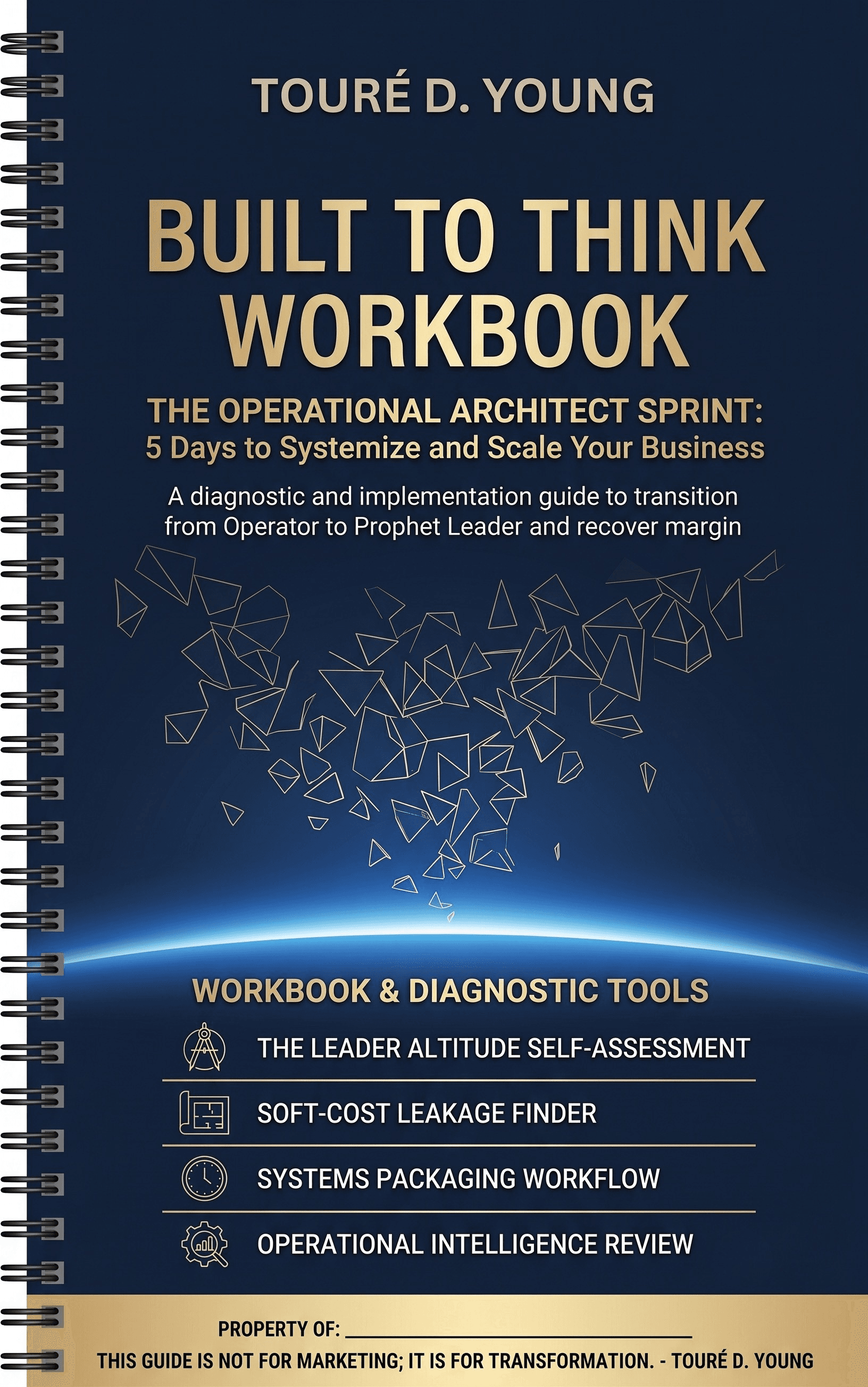 The Built to Think Workbook. The Operational Architect Sprint: five days to systemize and scale your business.